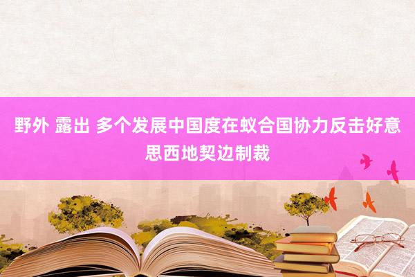 野外 露出 多个发展中国度在蚁合国协力反击好意思西地契边制裁