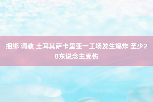 捆绑 调教 土耳其萨卡里亚一工场发生爆炸 至少20东说念主受伤