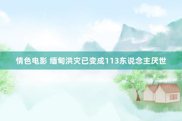 情色电影 缅甸洪灾已变成113东说念主厌世