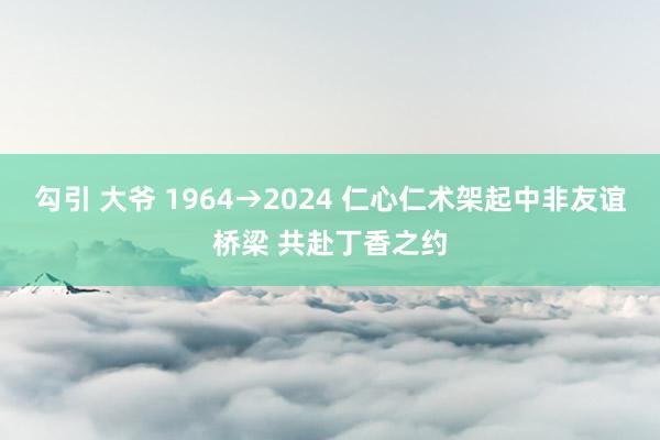 勾引 大爷 1964→2024 仁心仁术架起中非友谊桥梁 共赴丁香之约