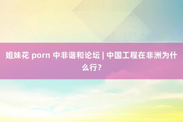 姐妹花 porn 中非谐和论坛 | 中国工程在非洲为什么行？