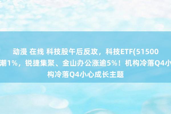 动漫 在线 科技股午后反攻，科技ETF(515000)放量走热潮1%，锐捷集聚、金山办公涨逾5%！机构冷落Q4小心成长主题