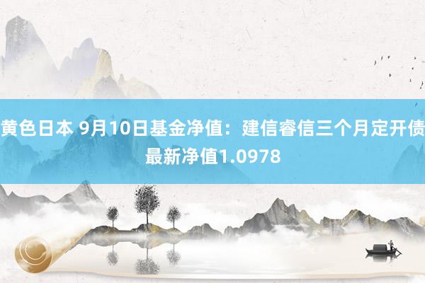 黄色日本 9月10日基金净值：建信睿信三个月定开债最新净值1.0978