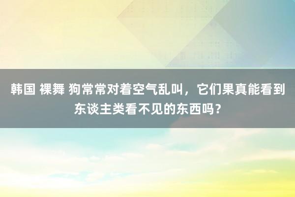 韩国 裸舞 狗常常对着空气乱叫，它们果真能看到东谈主类看不见的东西吗？