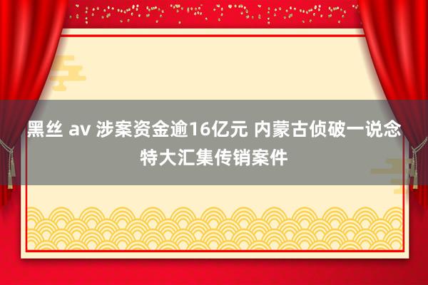 黑丝 av 涉案资金逾16亿元 内蒙古侦破一说念特大汇集传销案件