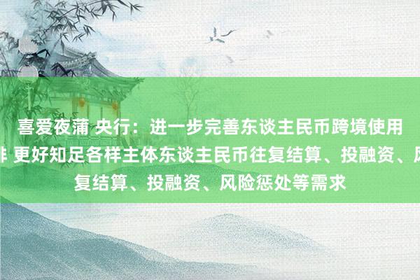 喜爱夜蒲 央行：进一步完善东谈主民币跨境使用基础性轨制安排 更好知足各样主体东谈主民币往复结算、投融资、风险惩处等需求