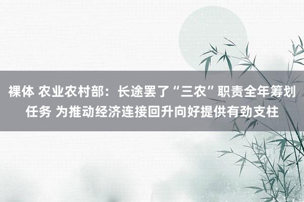 裸体 农业农村部：长途罢了“三农”职责全年筹划任务 为推动经济连接回升向好提供有劲支柱