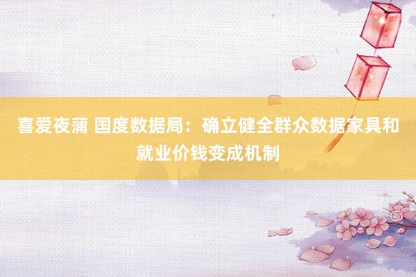 喜爱夜蒲 国度数据局：确立健全群众数据家具和就业价钱变成机制