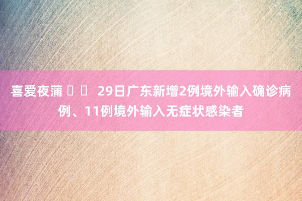 喜爱夜蒲 		 29日广东新增2例境外输入确诊病例、11例境外输入无症状感染者