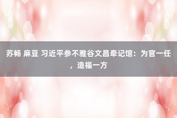 苏畅 麻豆 习近平参不雅谷文昌牵记馆：为官一任，造福一方