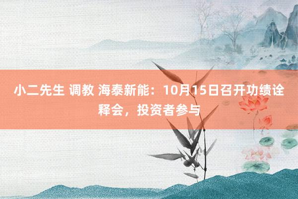 小二先生 调教 海泰新能：10月15日召开功绩诠释会，投资者参与