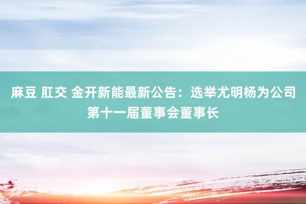 麻豆 肛交 金开新能最新公告：选举尤明杨为公司第十一届董事会董事长