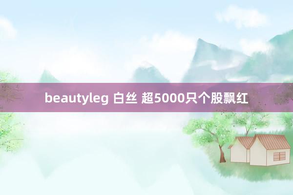 beautyleg 白丝 超5000只个股飘红