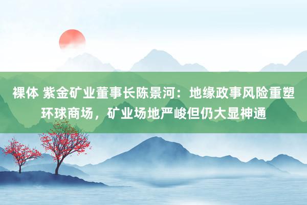 裸体 紫金矿业董事长陈景河：地缘政事风险重塑环球商场，矿业场地严峻但仍大显神通