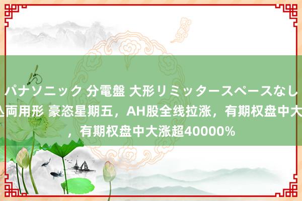 パナソニック 分電盤 大形リミッタースペースなし 露出・半埋込両用形 豪恣星期五，AH股全线拉涨，有期权盘中大涨超40000%