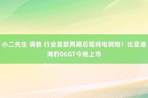 小二先生 调教 行业首款两厢后驱纯电钢炮！比亚迪海豹06GT今晚上市