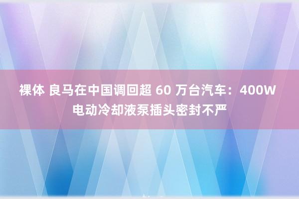 裸体 良马在中国调回超 60 万台汽车：400W 电动冷却液泵插头密封不严