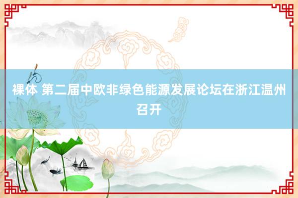 裸体 第二届中欧非绿色能源发展论坛在浙江温州召开