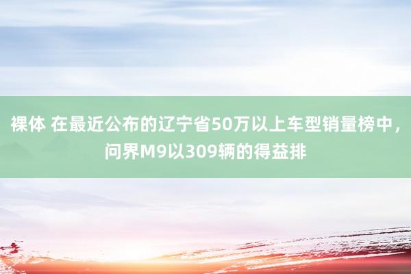 裸体 在最近公布的辽宁省50万以上车型销量榜中，问界M9以309辆的得益排