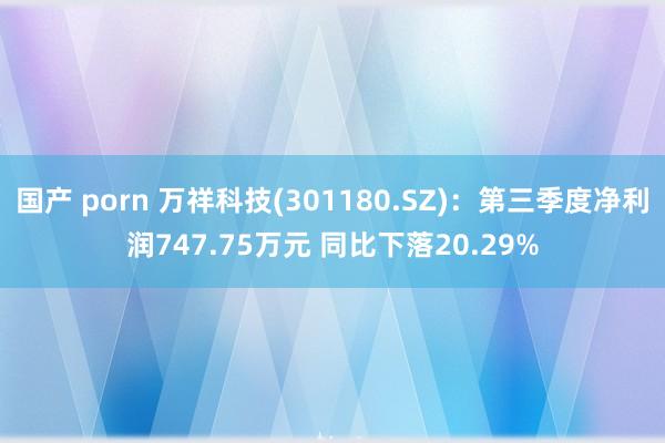 国产 porn 万祥科技(301180.SZ)：第三季度净利润747.75万元 同比下落20.29%