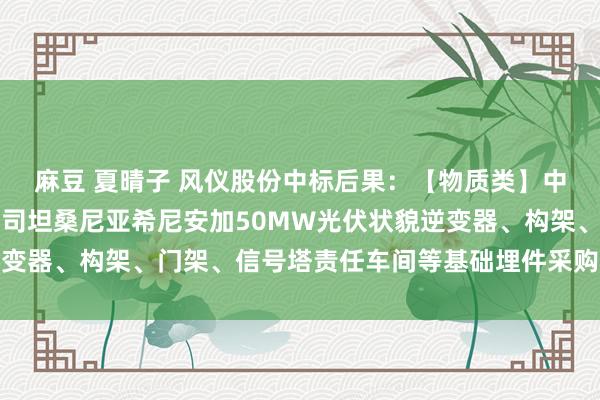 麻豆 夏晴子 风仪股份中标后果：【物质类】中国电建水电四局国外公司坦桑尼亚希尼安加50MW光伏状貌逆变器、构架、门架、信号塔责任车间等基础埋件采购状貌成交公示