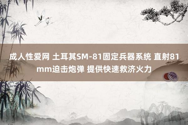 成人性爱网 土耳其SM-81固定兵器系统 直射81mm迫击炮弹 提供快速救济火力