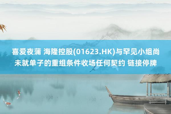 喜爱夜蒲 海隆控股(01623.HK)与罕见小组尚未就单子的重组条件收场任何契约 链接停牌