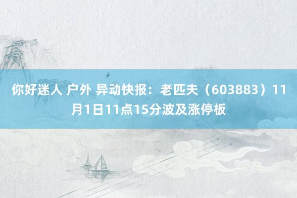 你好迷人 户外 异动快报：老匹夫（603883）11月1日11点15分波及涨停板