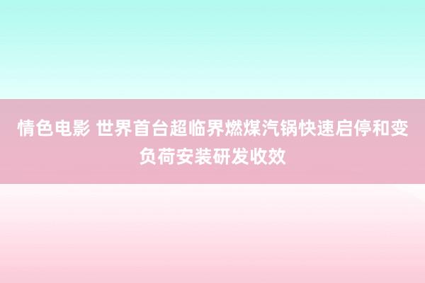 情色电影 世界首台超临界燃煤汽锅快速启停和变负荷安装研发收效