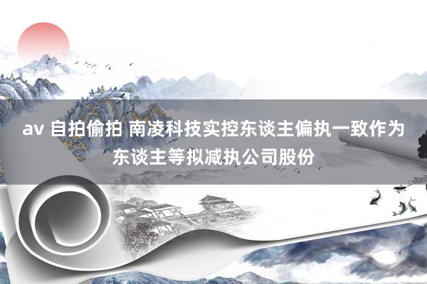 av 自拍偷拍 南凌科技实控东谈主偏执一致作为东谈主等拟减执公司股份