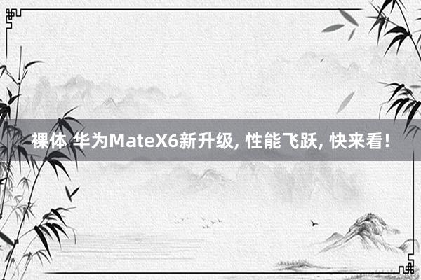 裸体 华为MateX6新升级， 性能飞跃， 快来看!