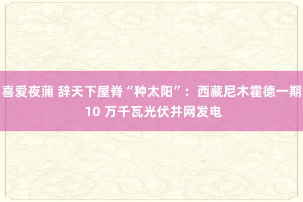 喜爱夜蒲 辞天下屋脊“种太阳”：西藏尼木霍德一期 10 万千瓦光伏并网发电