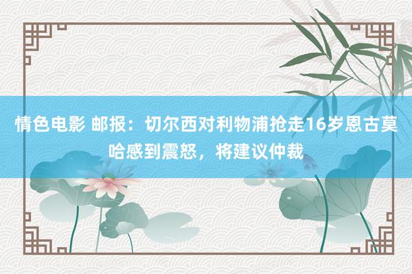 情色电影 邮报：切尔西对利物浦抢走16岁恩古莫哈感到震怒，将建议仲裁