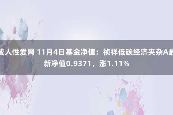 成人性爱网 11月4日基金净值：祯祥低碳经济夹杂A最新净值0.9371，涨1.11%