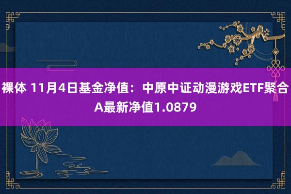 裸体 11月4日基金净值：中原中证动漫游戏ETF聚合A最新净值1.0879