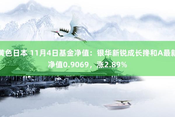 黄色日本 11月4日基金净值：银华新锐成长搀和A最新净值0.9069，涨2.89%