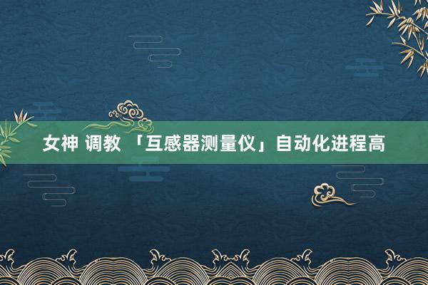 女神 调教 「互感器测量仪」自动化进程高