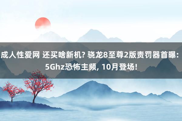 成人性爱网 还买啥新机? 骁龙8至尊2版责罚器首曝: 5Ghz恐怖主频， 10月登场!