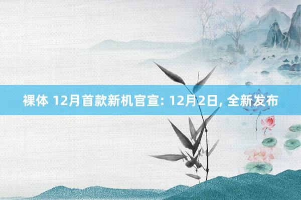 裸体 12月首款新机官宣: 12月2日， 全新发布