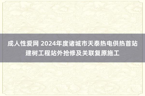 成人性爱网 2024年度诸城市天泰热电供热首站建树工程站外抢修及关联复原施工