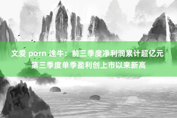 文爱 porn 途牛：前三季度净利润累计超亿元 第三季度单季盈利创上市以来新高