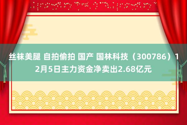 丝袜美腿 自拍偷拍 国产 国林科技（300786）12月5日主力资金净卖出2.68亿元