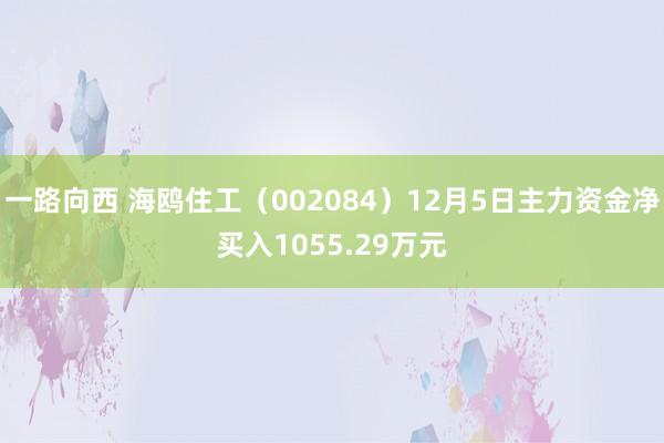 一路向西 海鸥住工（002084）12月5日主力资金净买入1055.29万元