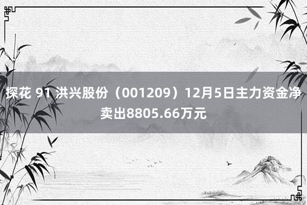 探花 91 洪兴股份（001209）12月5日主力资金净卖出8805.66万元