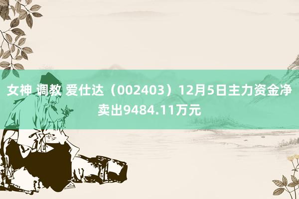 女神 调教 爱仕达（002403）12月5日主力资金净卖出9484.11万元