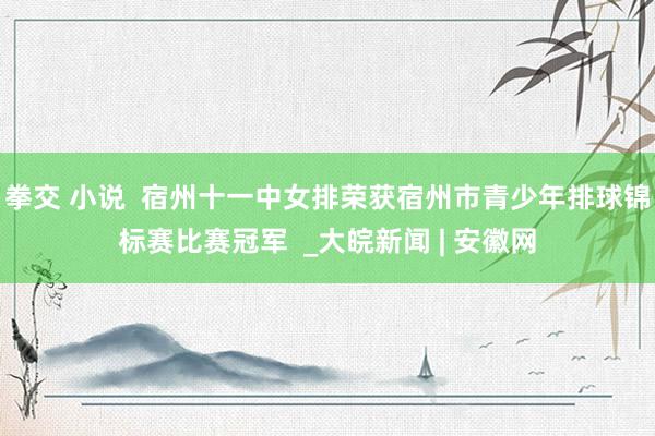 拳交 小说  宿州十一中女排荣获宿州市青少年排球锦标赛比赛冠军  _大皖新闻 | 安徽网