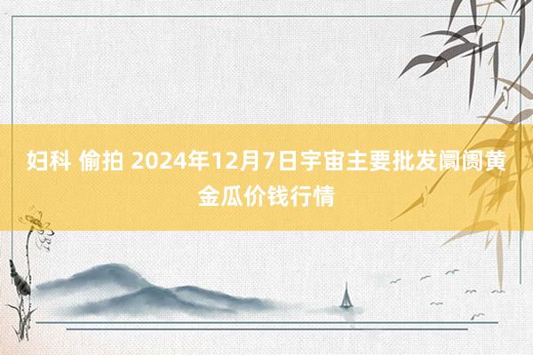 妇科 偷拍 2024年12月7日宇宙主要批发阛阓黄金瓜价钱行情