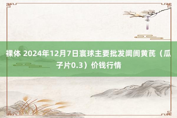 裸体 2024年12月7日寰球主要批发阛阓黄芪（瓜子片0.3）价钱行情