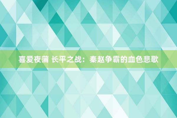 喜爱夜蒲 长平之战：秦赵争霸的血色悲歌