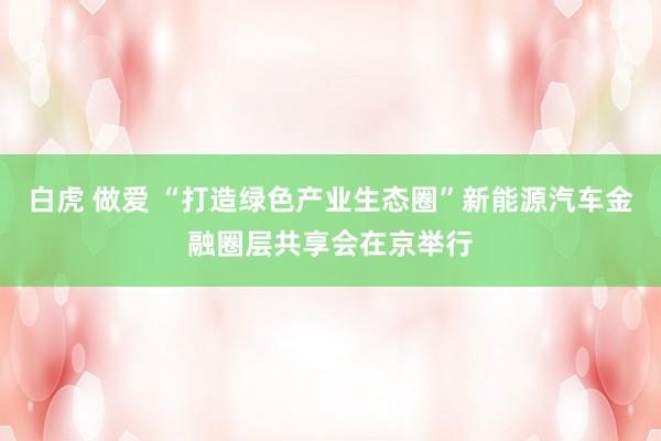 白虎 做爱 “打造绿色产业生态圈”新能源汽车金融圈层共享会在京举行